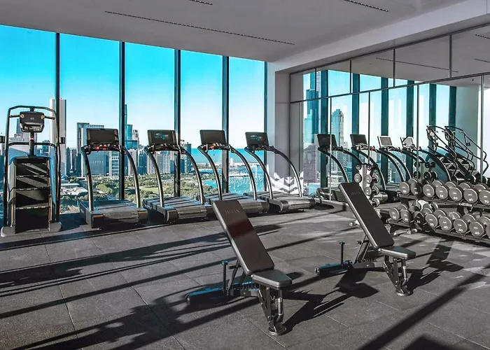S Loop 1br W Pool Gym Nr Grant Park Chi-742 Chicago